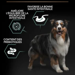 Pro Plan Sensitive Digestion Medium Adult à l'agneau - croquettes chien