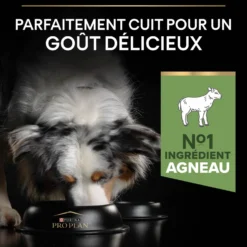 Pro Plan Sensitive Digestion Medium Adult à l'agneau - croquettes chien