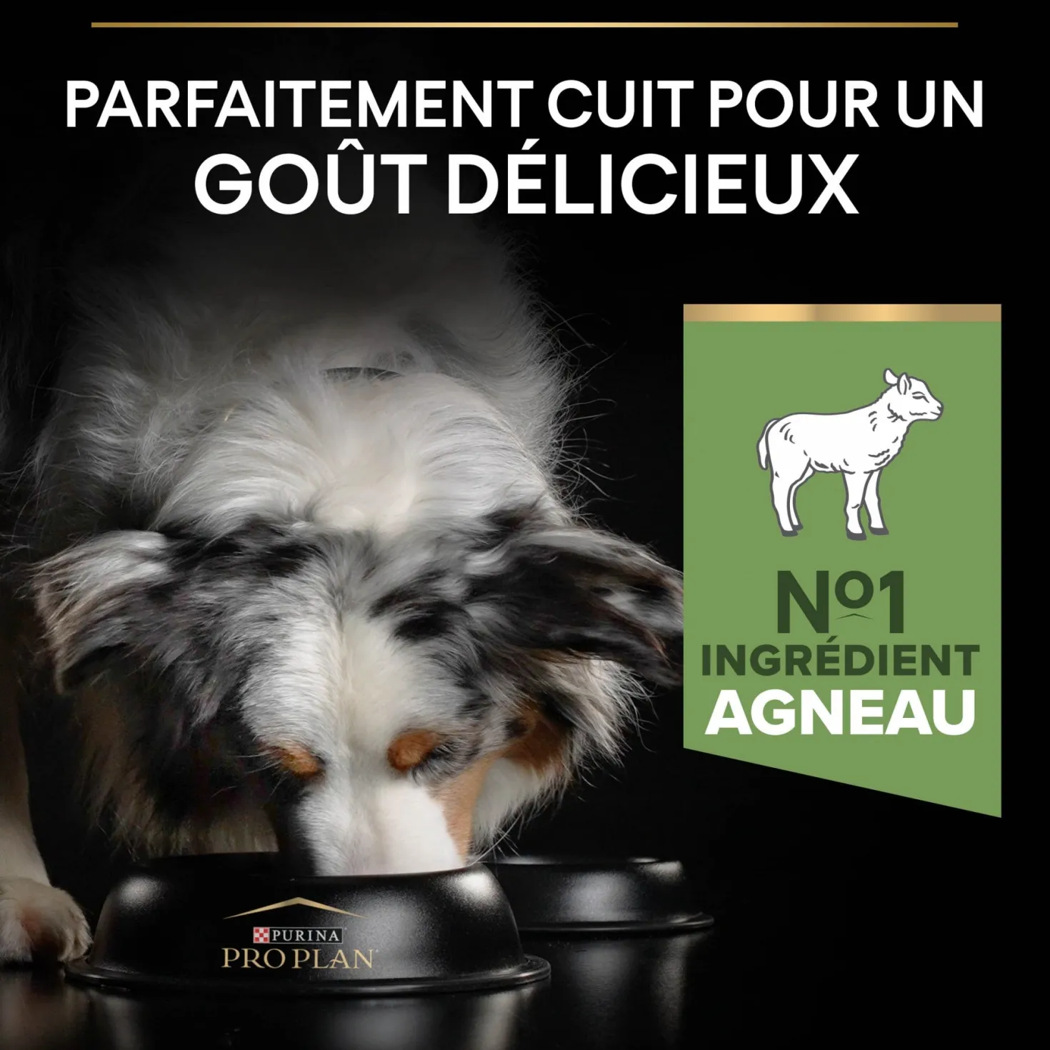 Pro Plan Sensitive Digestion Medium Adult à l'agneau - croquettes chien