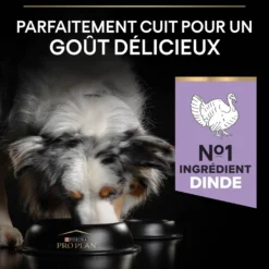 PRO PLAN Sensitive Digestion No Grain Medium & Large Adult à la Dinde - Croquettes pour chien