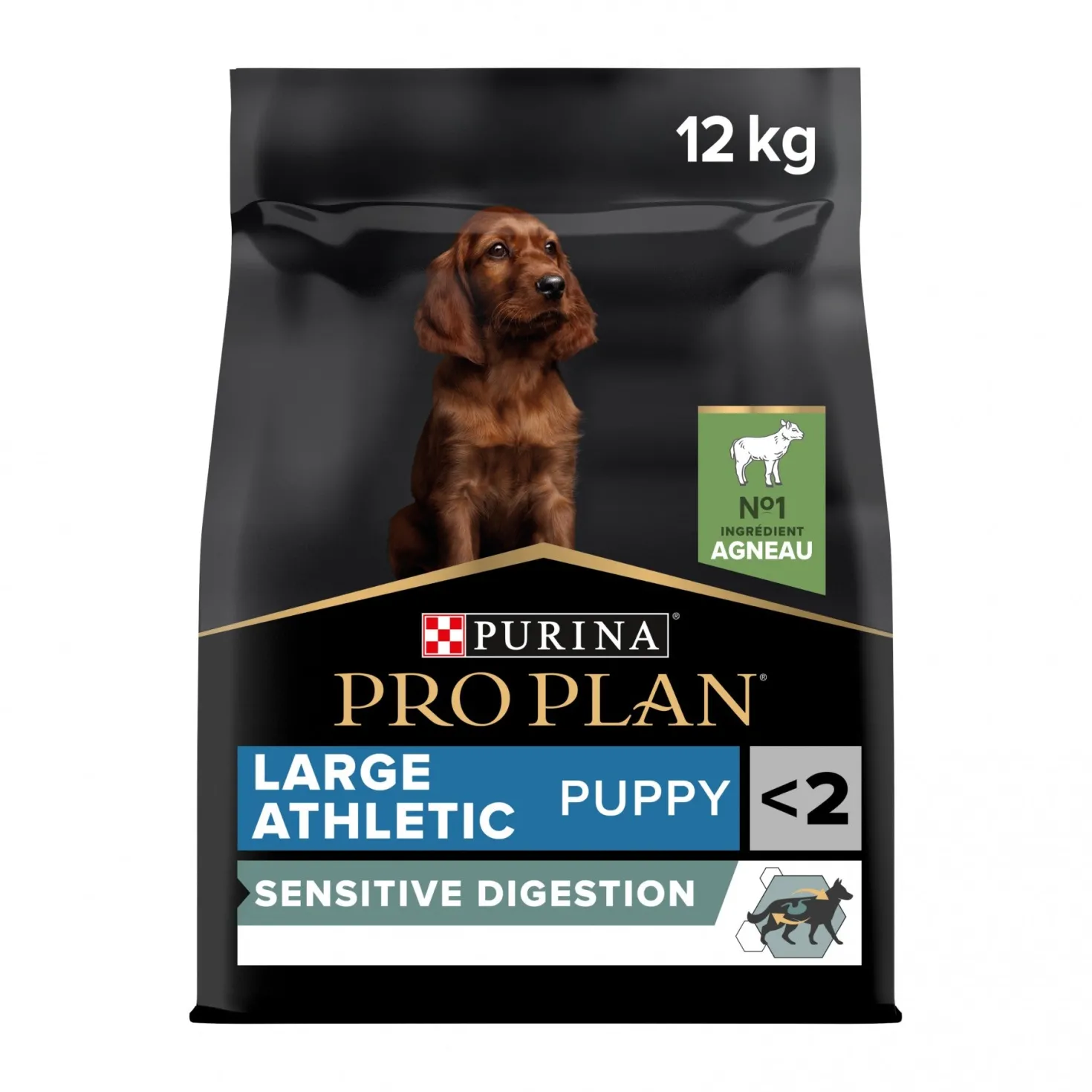 Pro Plan Sensitive Digestion Large Athletic Puppy à l'agneau - croquettes chiot
