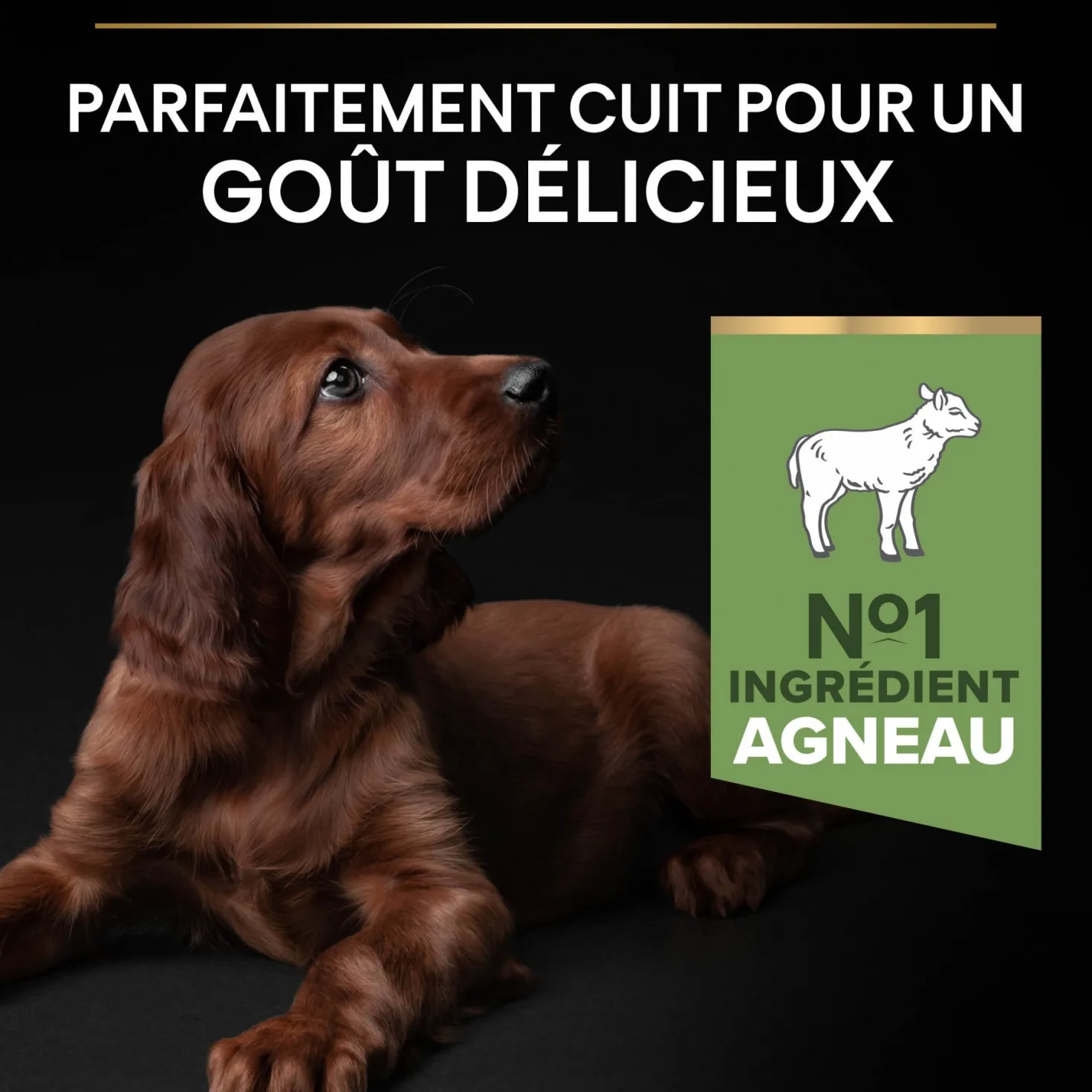 Pro Plan Sensitive Digestion Large Athletic Puppy à l'agneau - croquettes chiot