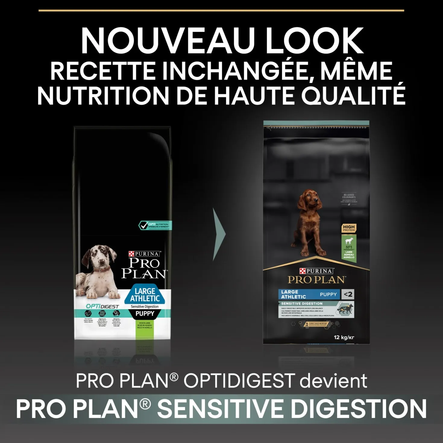 Pro Plan Sensitive Digestion Large Athletic Puppy à l'agneau - croquettes chiot