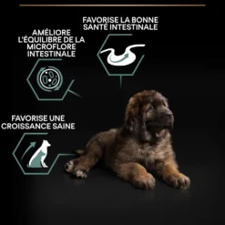 PRO PLAN Sensitive Digestion Large Robust Puppy à la Agneau- Croquettes pour chien