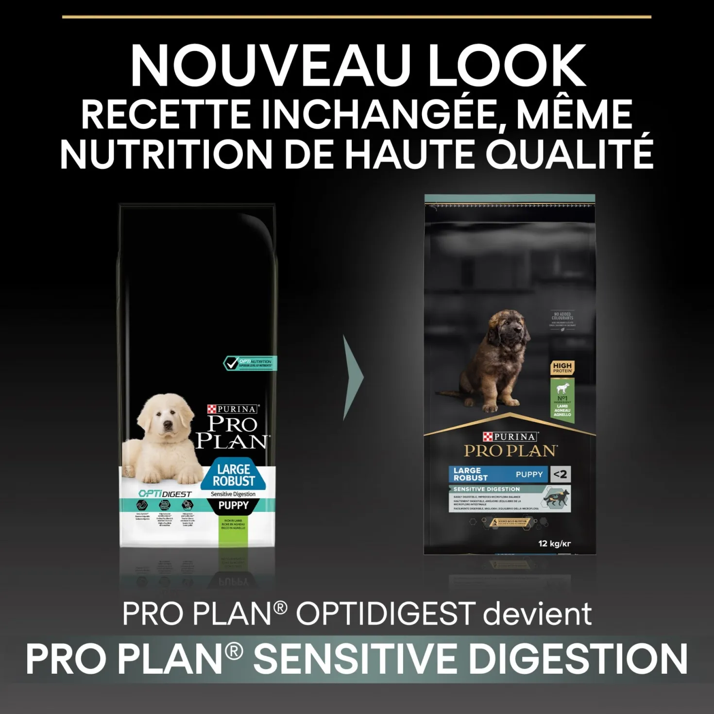 PRO PLAN Sensitive Digestion Large Robust Puppy à la Agneau- Croquettes pour chien