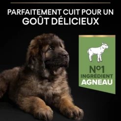 PRO PLAN Sensitive Digestion Large Robust Puppy à la Agneau- Croquettes pour chien