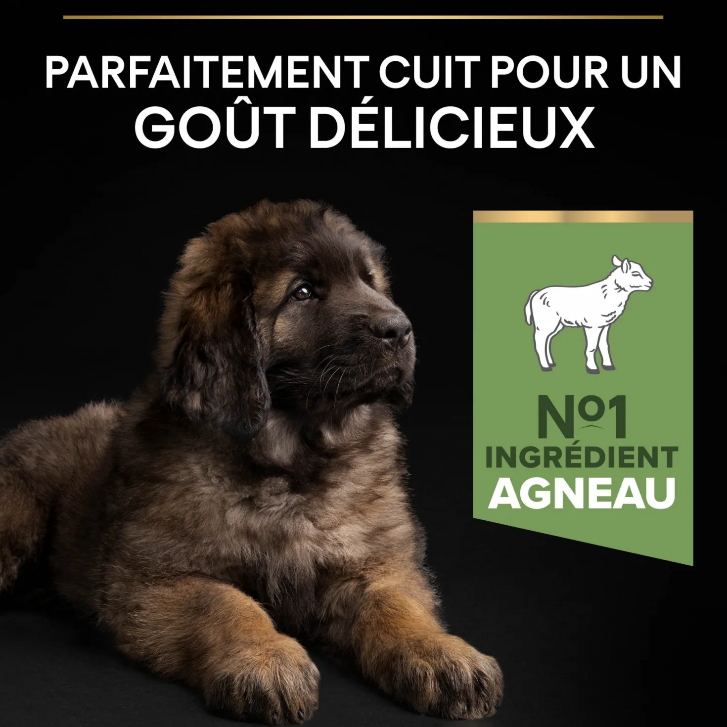 PRO PLAN Sensitive Digestion Large Robust Puppy à la Agneau- Croquettes pour chien