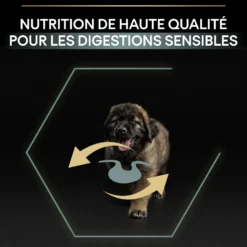 PRO PLAN Sensitive Digestion Large Robust Puppy à la Agneau- Croquettes pour chien