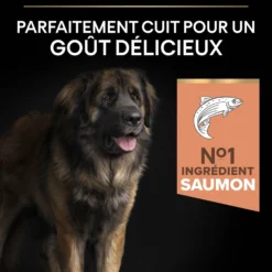 Pro Plan Sensitive Skin Large Robust Adult au saumon - croquettes chien