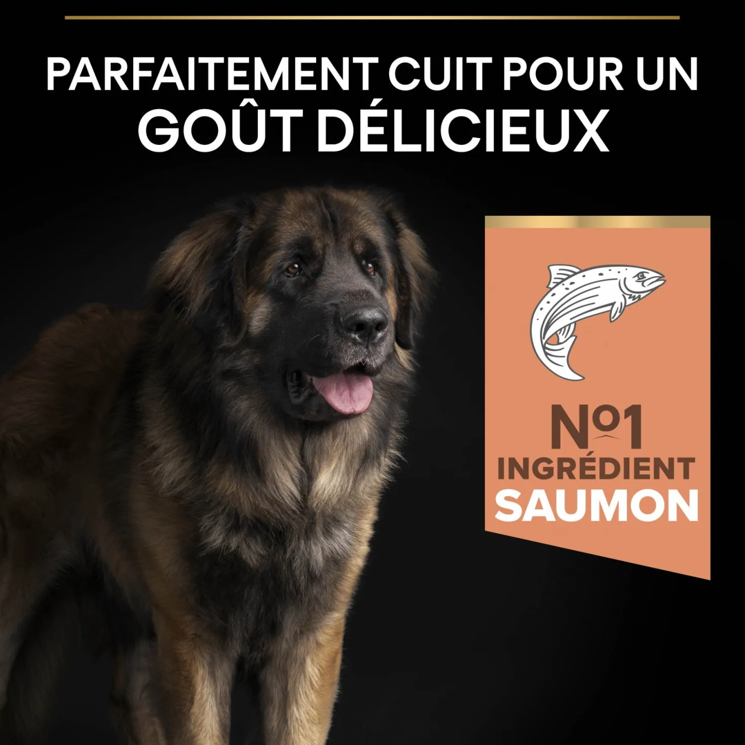 Pro Plan Sensitive Skin Large Robust Adult au saumon - croquettes chien