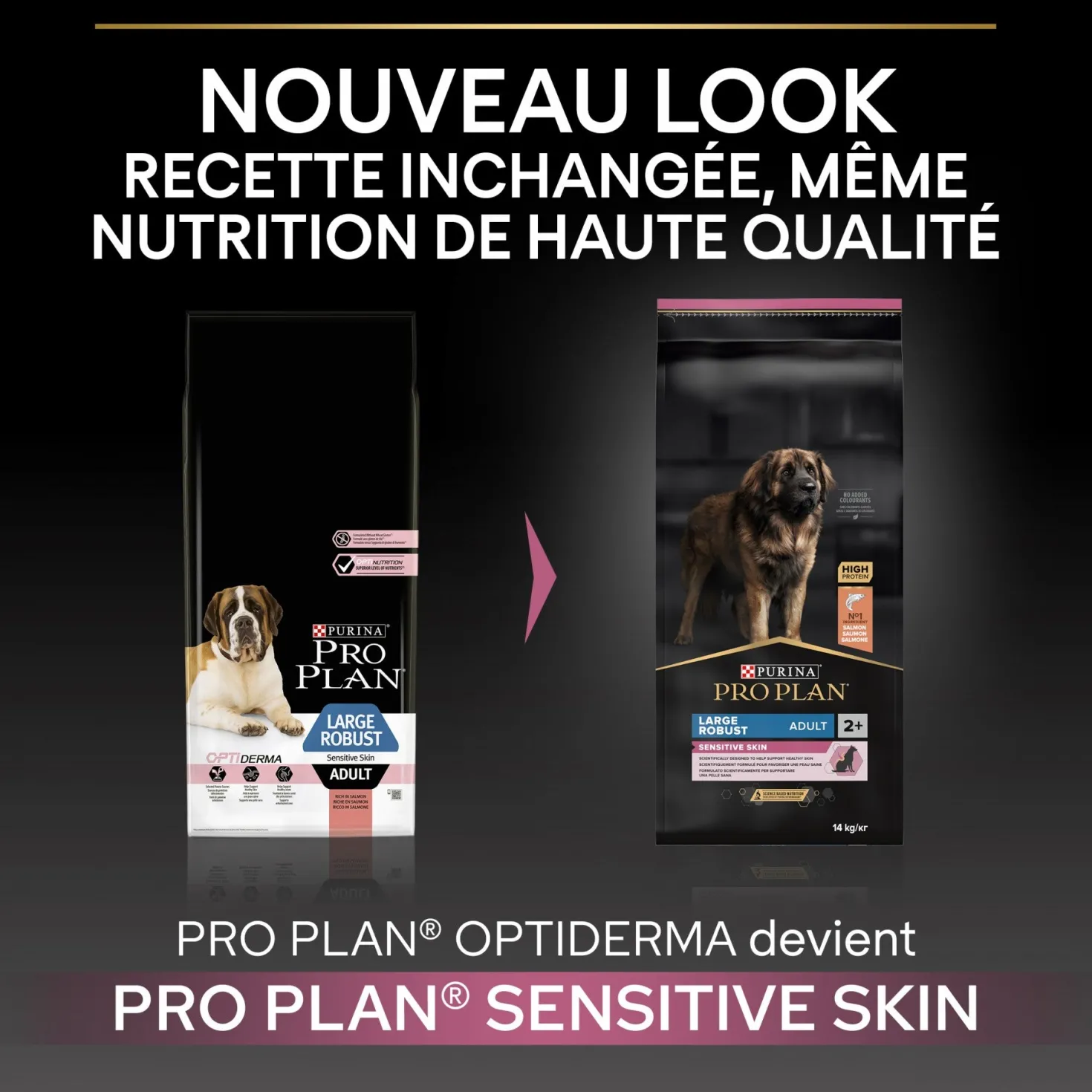 Pro Plan Sensitive Skin Large Robust Adult au saumon - croquettes chien
