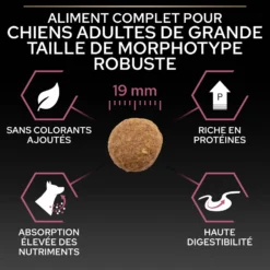 Pro Plan Sensitive Skin Large Robust Adult au saumon - croquettes chien