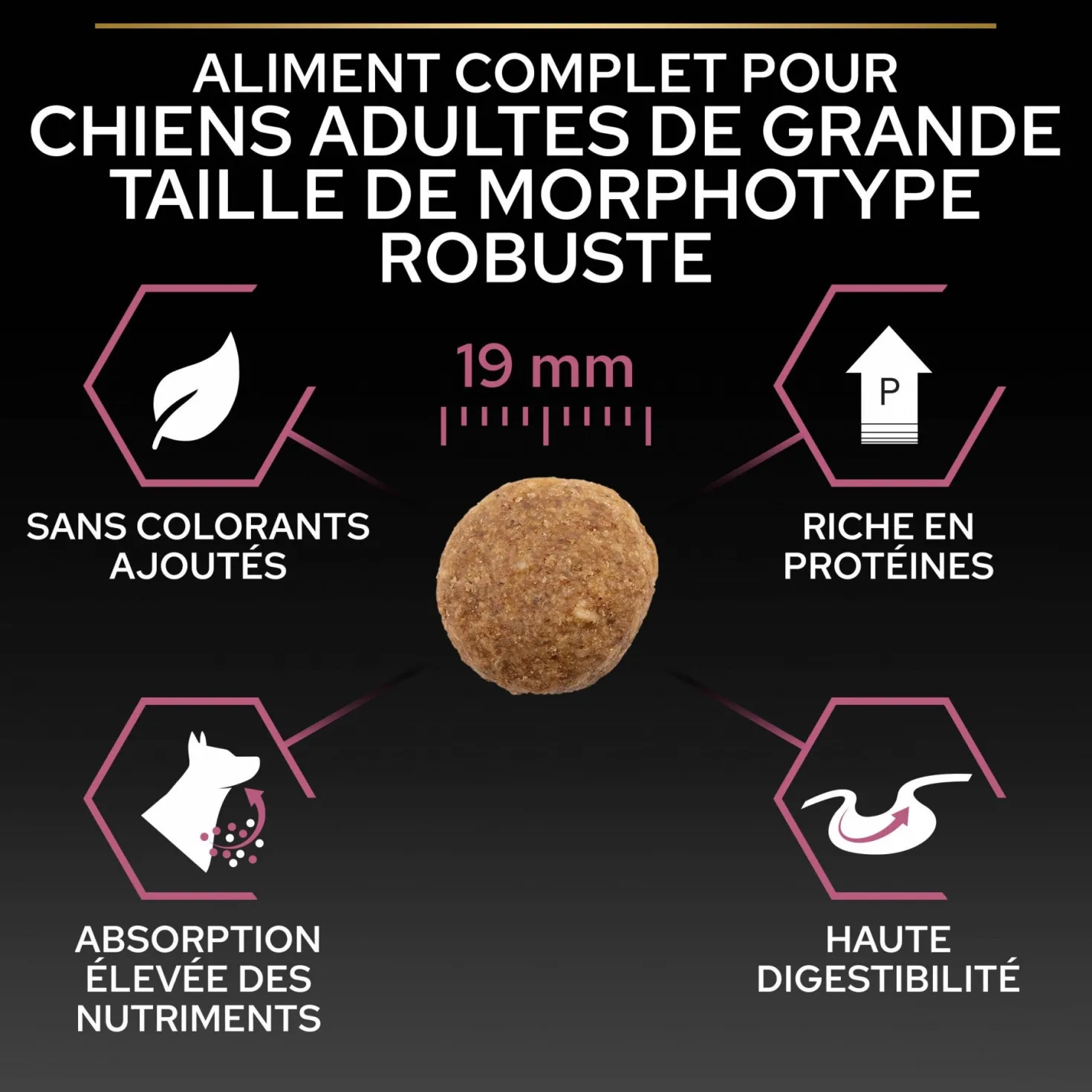 Pro Plan Sensitive Skin Large Robust Adult au saumon - croquettes chien