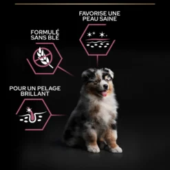PRO PLAN Sensitive Skin Medium Puppy au Saumon - Croquettes pour chien