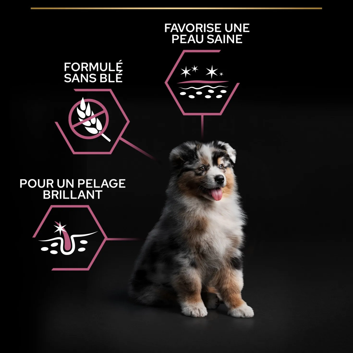 PRO PLAN Sensitive Skin Medium Puppy au Saumon - Croquettes pour chien