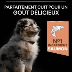 PRO PLAN Sensitive Skin Medium Puppy au Saumon - Croquettes pour chien