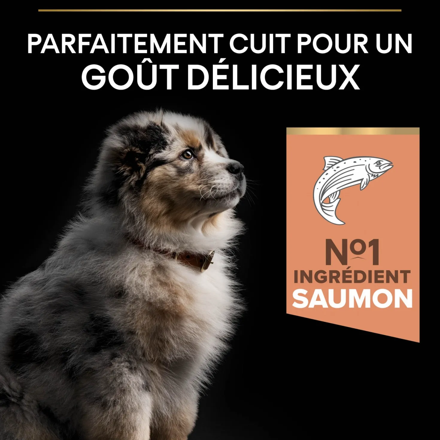 PRO PLAN Sensitive Skin Medium Puppy au Saumon - Croquettes pour chien