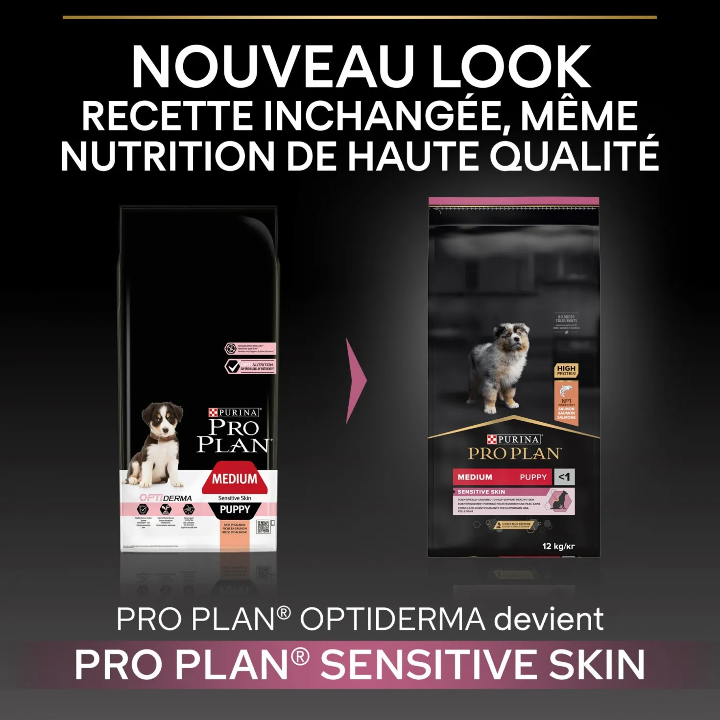 PRO PLAN Sensitive Skin Medium Puppy au Saumon - Croquettes pour chien