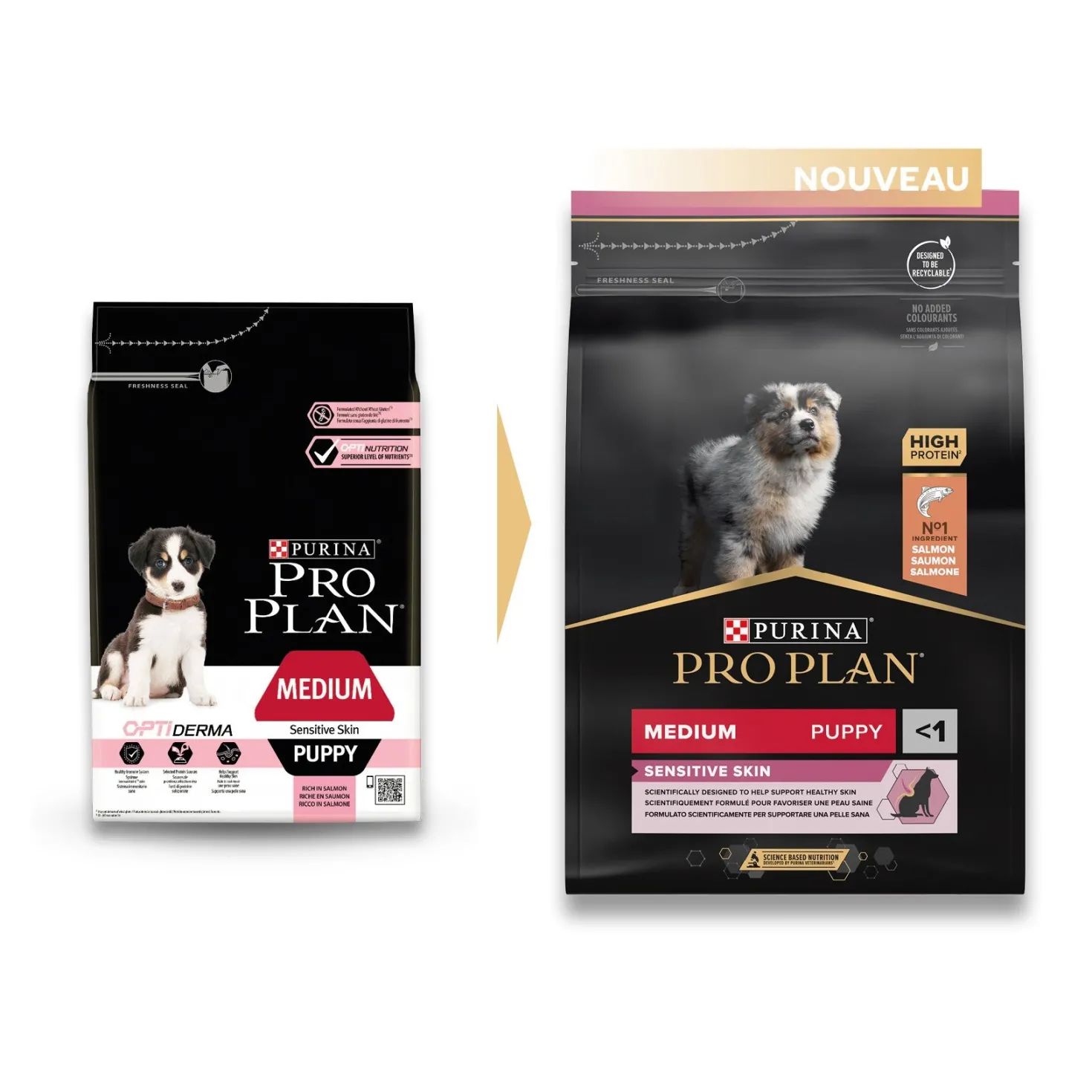 PRO PLAN Sensitive Skin Medium Puppy au Saumon - Croquettes pour chien