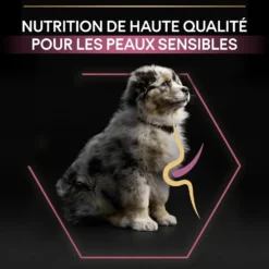 PRO PLAN Sensitive Skin Medium Puppy au Saumon - Croquettes pour chien