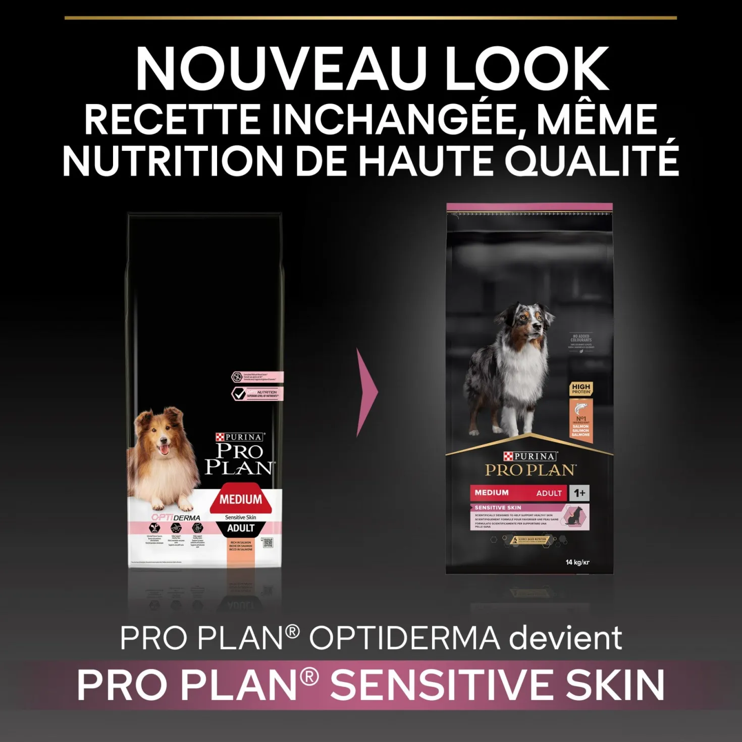 Pro Plan Sensitive Skin Medium Adult au saumon - croquettes chien