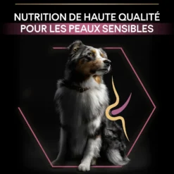 Pro Plan Sensitive Skin Medium Adult au saumon - croquettes chien