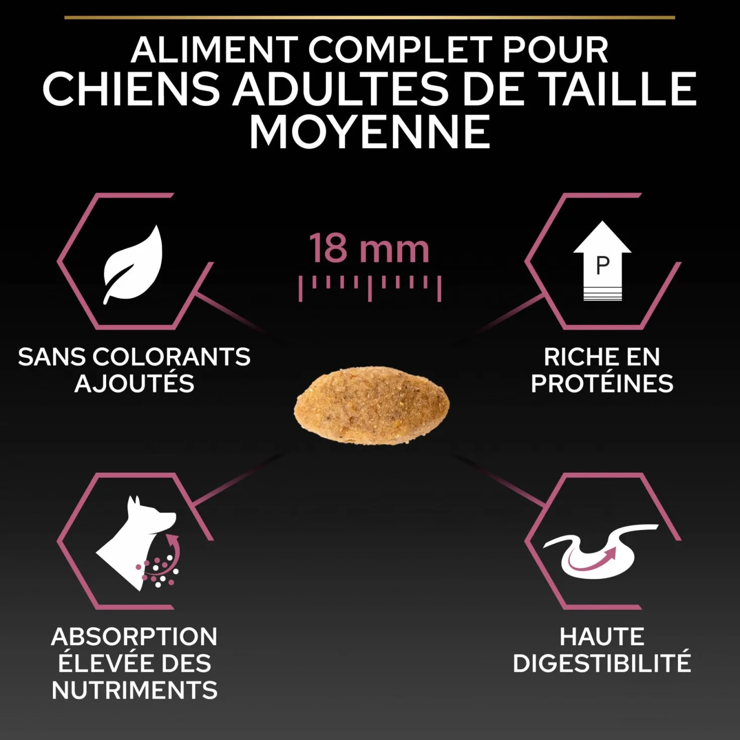 Pro Plan Sensitive Skin Medium Adult au saumon - croquettes chien