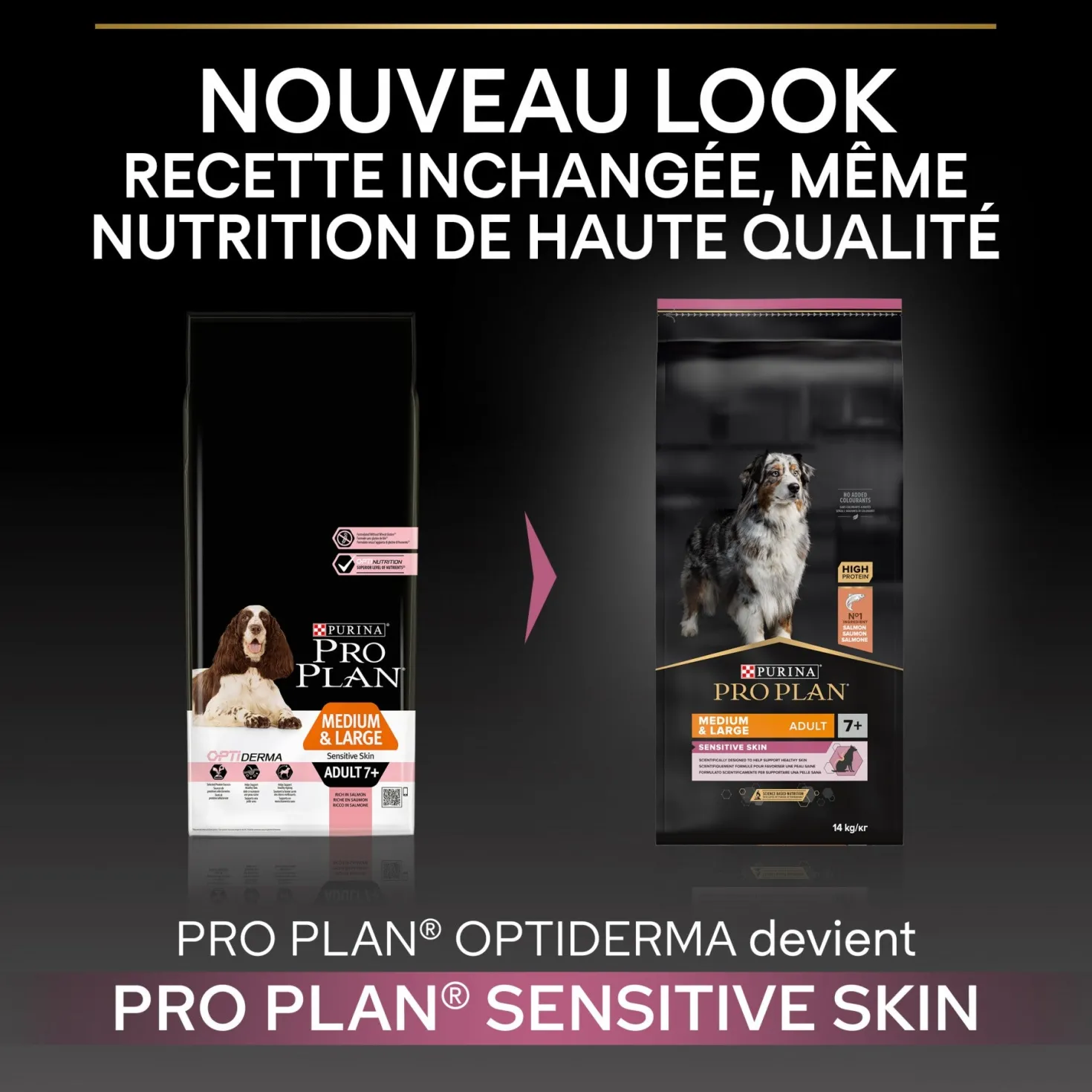 Pro Plan Sensitive Skin Medium & Large Adult au saumon - croquettes chien