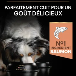 Pro Plan Sensitive Skin Medium & Large Adult au saumon - croquettes chien
