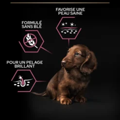 Pro Plan Sensitive Skin Small & Mini Puppy au saumon - croquettes chiot
