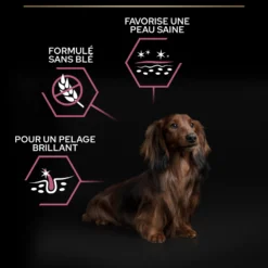 Pro Plan Sensitive Skin Small & Mini Adult au saumon - croquettes chien