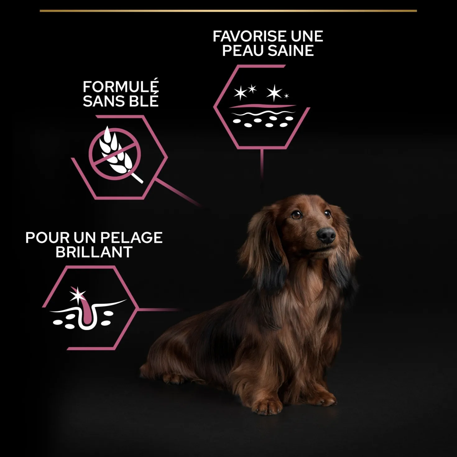 Pro Plan Sensitive Skin Small & Mini Adult au saumon - croquettes chien