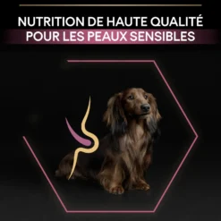 Pro Plan Sensitive Skin Small & Mini Adult au saumon - croquettes chien