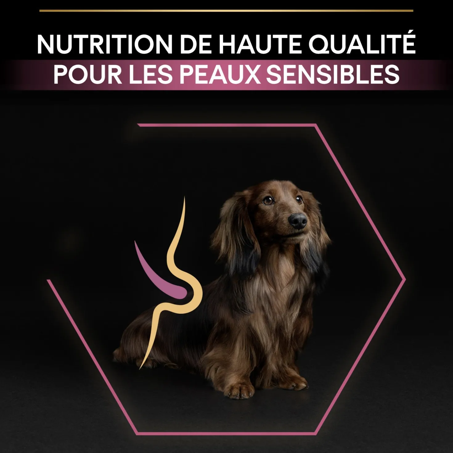 Pro Plan Sensitive Skin Small & Mini Adult au saumon - croquettes chien