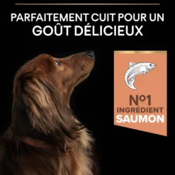 Pro Plan Sensitive Skin Small & Mini Adult au saumon - croquettes chien