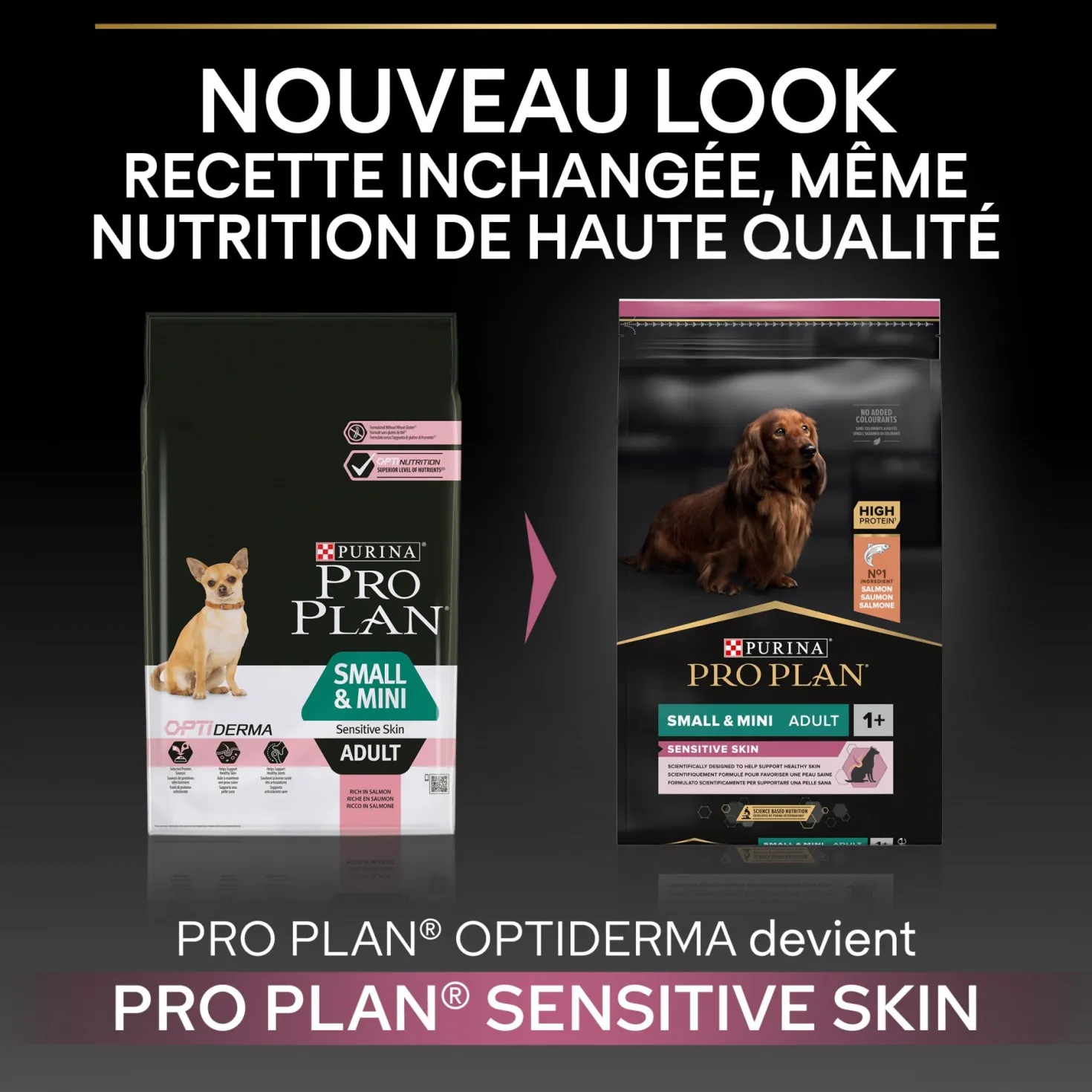 Pro Plan Sensitive Skin Small & Mini Adult au saumon - croquettes chien