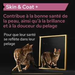 Pro Plan Skin & Coat+ en huile aliment complémentaire chat