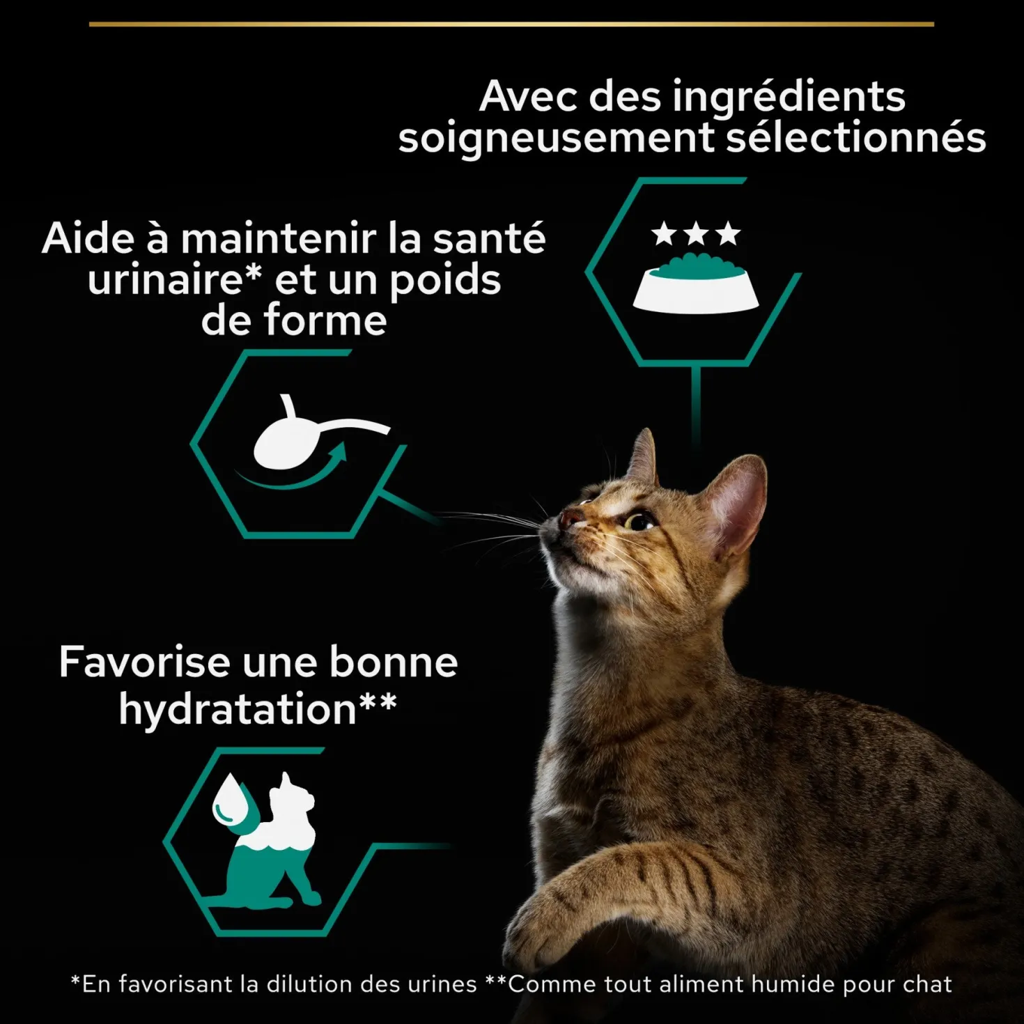 Pro Plan Sterilised thon et saumon - pâtée chat