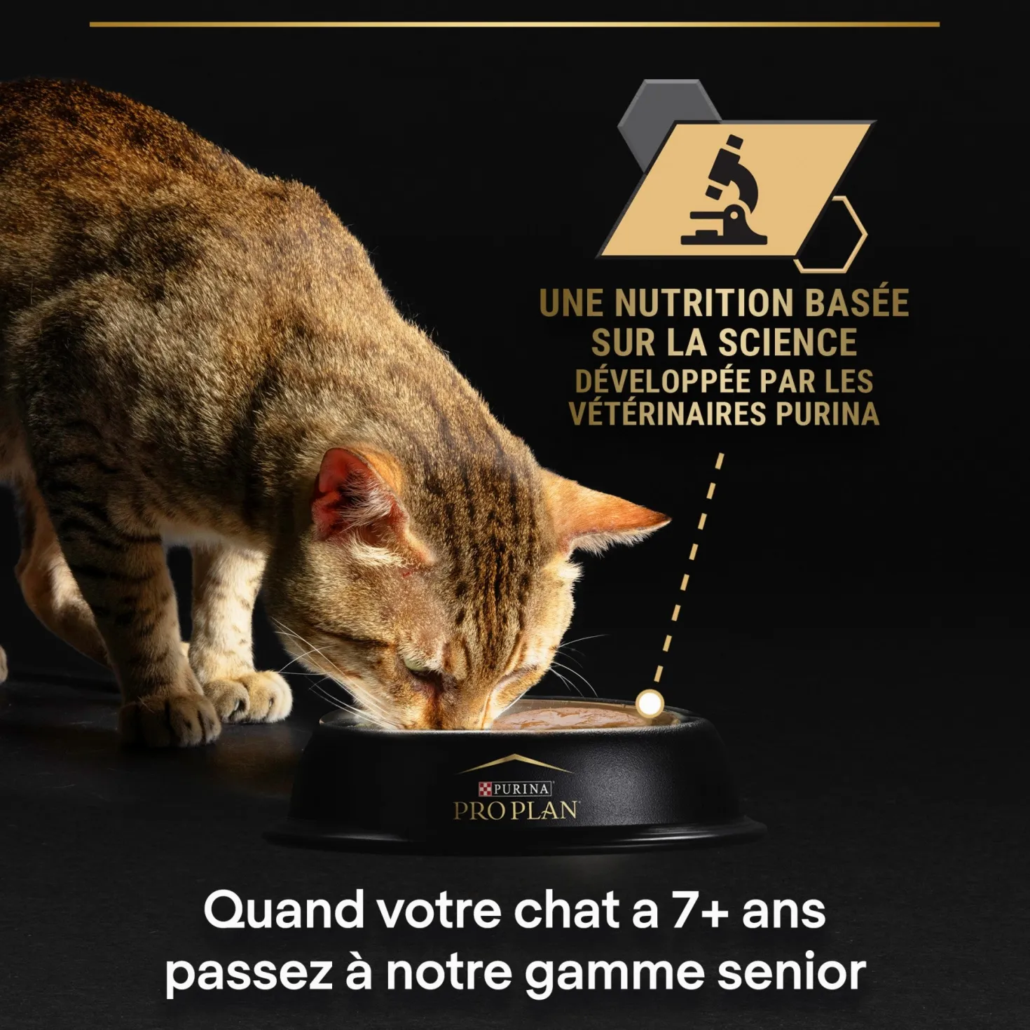 Pro Plan Sterilised thon et saumon - pâtée chat