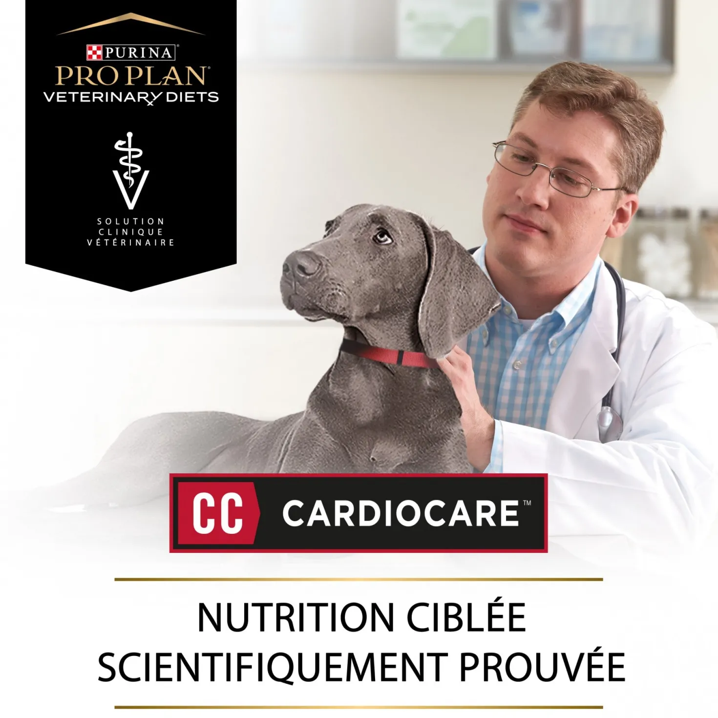Pro Plan Veterinary Diets CC CardioCare – croquettes chien