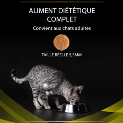 Pro Plan Veterinary Diets HP Hepatic - croquettes chat