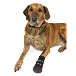 Protection des pattes Walker Care Confort