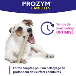 Prozym 15 lamelles à mâcher chien
