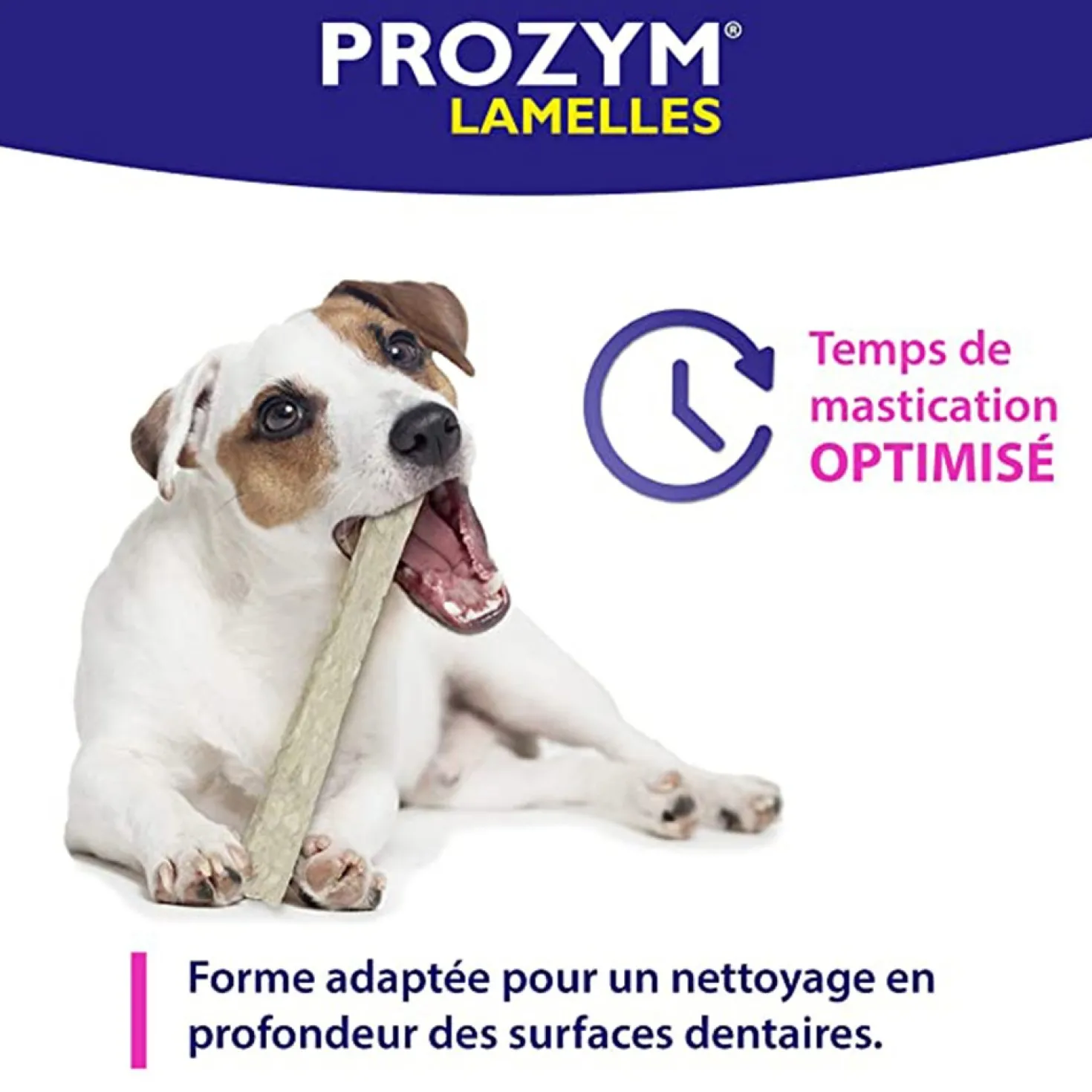 Prozym 15 lamelles à mâcher chien