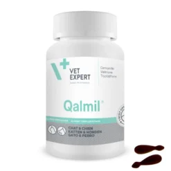 Qalmil chat, chien