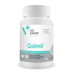 Qalmil chat, chien