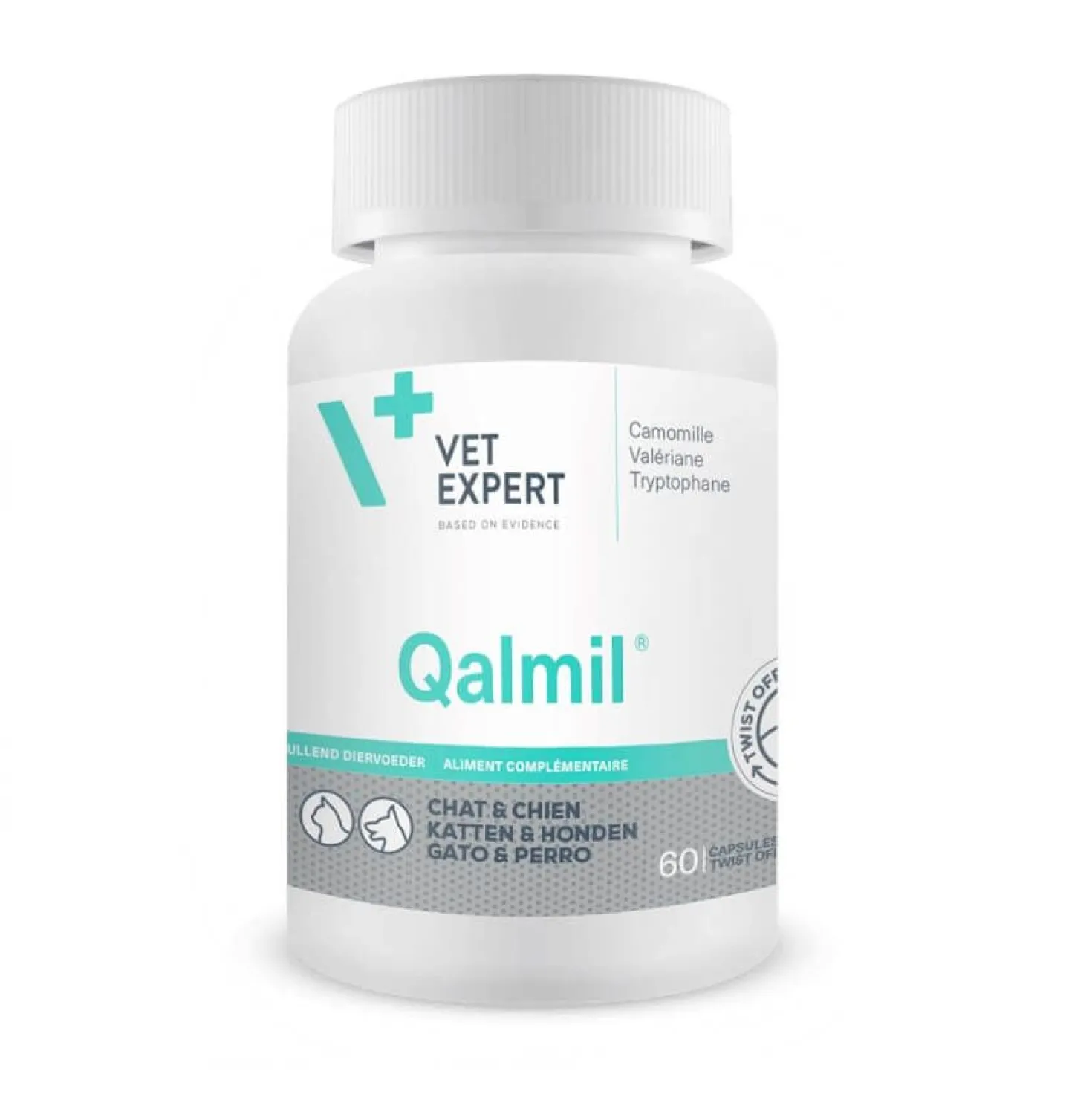 Qalmil chat, chien