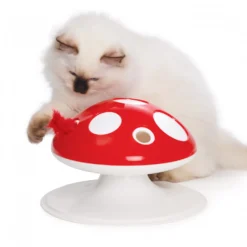 Recharge Champignon Senses 2.0 chat