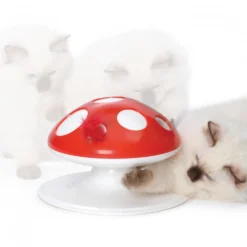 Recharge Champignon Senses 2.0 chat