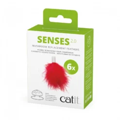 Recharge Champignon Senses 2.0 chat
